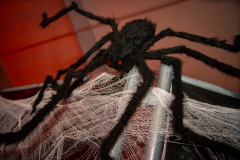 Halloweenparty-093